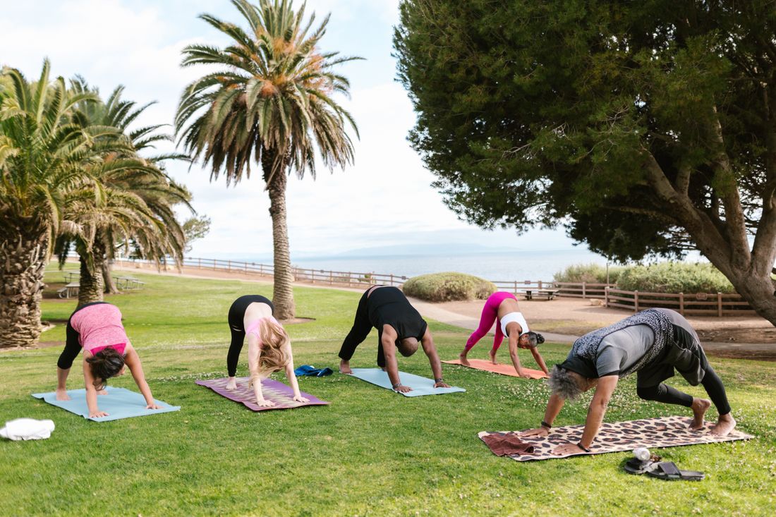 People practicing yoga together outdoors in a park.